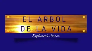 🌳 EL ÁRBOL DE LA VIDA #Kabbalah #espiritualidad #arboldelavida