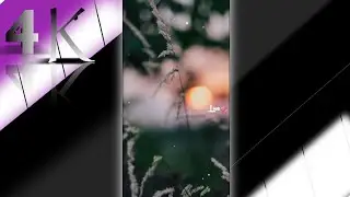 Assamese Rap song || New Assamese Ringtone || Status BGM Barixare Batori Assamess Song Status