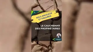 [Conseils] 🏡 Sols argileux et fissures : Le cauchemar des propri&eacute;taires ! 😱