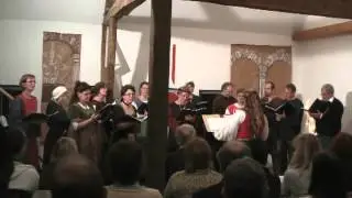 14. Der Floh - Erasmus Widmann