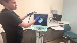 Periodontal Endoscopy Training 