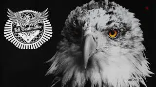 #5 TeK Beatmaker - Bird of Prey  🦅 
