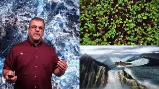 Genesis Apologetics K8 Student Zone-Understanding the Global Flood (6-8 grade)