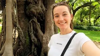 Relaxing ASMR Walk With Me | Outdoor Nature & Wildlife Sounds (Royal Botanical Gardens Brisbane)🌿🍂
