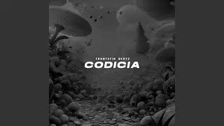 CODICIA