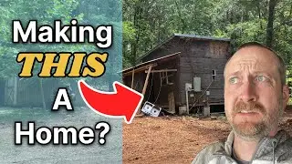 Why Tear It Down?? - Tiny House Remodel  