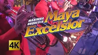 Maya Excelsior - Concierto Noche De Sabor / Calidad 4K