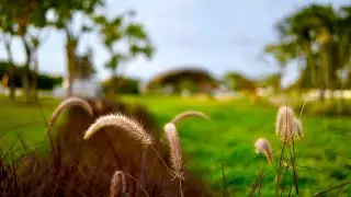 Gardens by the Bay, Marina Barrage, Bay East Garden, Kallang Basin, Singapore