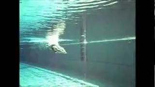 Sandra Swierczewska UNDERWATER Breaststroke Streamline Technique