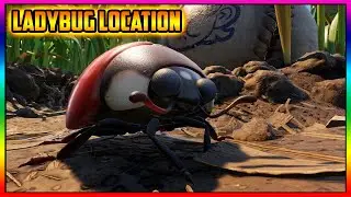 Grounded Ladybug Spawn Locations