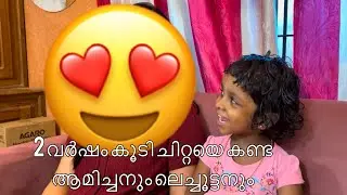 2 വർഷം കൂടി ചിറ്റയെ കണ്ട ആമിച്ചനും ലെച്ചൂട്ടനും