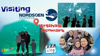 Tour to Nords&oslash;en Oceanarium with friends ( Hirtshals, Denmark )