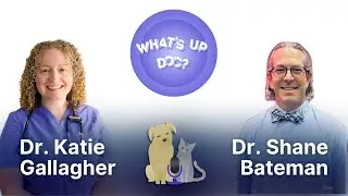 Investigating Animal Welfare and Veterinary Forensics with Dr. Shane Bateman | What's Up Doc?