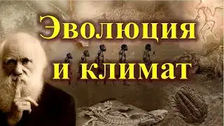 4.   Эволюция и климат