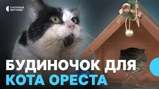 Поруч із однією з кав'ярень Житомира облаштували будиночок для кота Ореста
