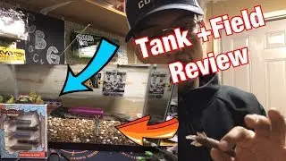 Sukoshi Bug Review (ZMans Competition?!)