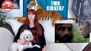 TWD comments & reaction - Open your eyes