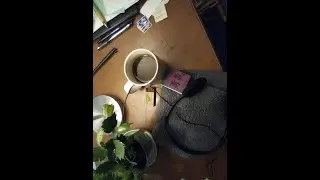 A Damn Good Cup of Podcast, w/ The Coffee Guys From Flint, MI