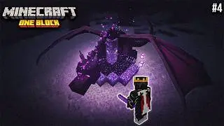 We Survived 100 Days And End This ONE BLOCK in Minecraft Hardcore!