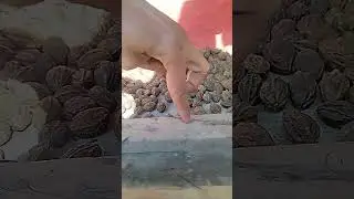 anaya running road fourty one #viralvideo