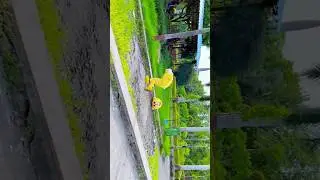 Sad moment 😥| Teddybear shorts | #youtubeshorts #shortsfeed #funny #fun ￼