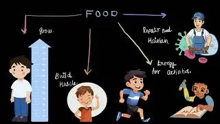 Introduction to Nutrients | Middle School Science | Khan Academy