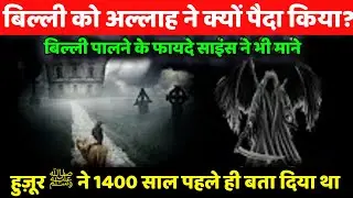 अल्लाह ने बिल्ली को क्यूं पैदा किया ? Can Cats Protect Against Negative Energy ? in Urdu