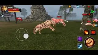 The Leopard🐅 Wild Leopard Simulation Game