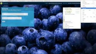 Chrome Browser Overview