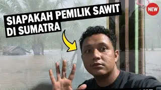 SIAPAKAH PEMILIK SAWIT DI SUMATRA YANG TERKENA BANJIR? 