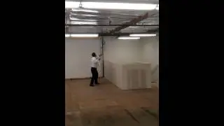 Pigeon man of Lexus