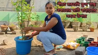 Making best &universal potting soil for all plant|#DailyDestiny | vlog-9 |