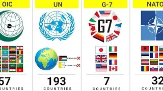 How Many Countries Are Part of The Same Alliance Group