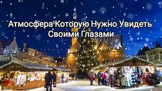 Елка 🎄и новогодние чудеса