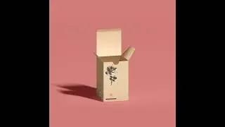 Tuck Boxes.