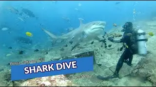 SHARK DIVING IN FIJI │Aqua-Trek Beqa Lagoon