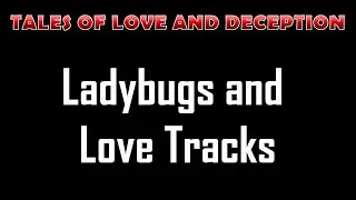 Ladybugs and Love Tracks - Love Stories and Relationship Journeys | Tales of Connection