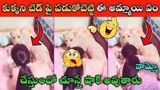 కుక్కని బెడ్ పై పడుకోబెట్టి ఏం చేస్తుందో చూడండి || Social Media Funny Videos || Funny Videos