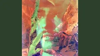 Searching for Dimorphodons