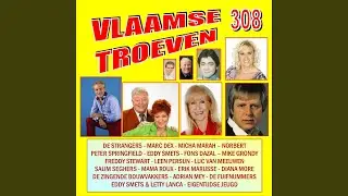 Vakantiedroom