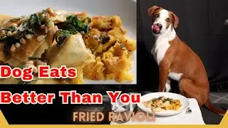 ASMR Cooking🔥Dog Eats Chicken Confit Ravioli (Keto Pasta) w/ Honey Acorn Squash