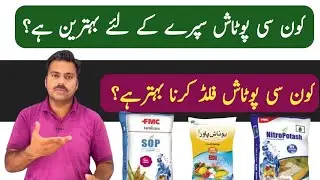 Which potash fertilizer is better for fertigation or foliar spray application | Abid Ali Agrarian