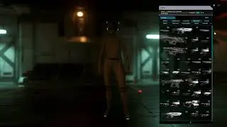 Star Citizen 3.19.1 Missing items Possible solution.