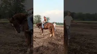 Преследовал своего брата, отца и бывшего на своей лошади🙏🏼😇