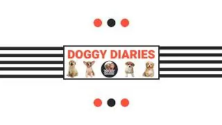 lets feed stray dogs#doglover#dog#subscribe