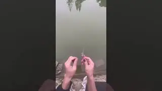 Ultra light micro fishing! #microfishing #ultralightfishing #ultralightfishingrod #tinyfishing