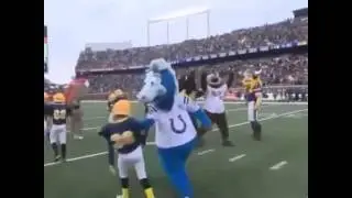 The colts mascot is a savage 😂😂