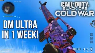 How to Get Dark Matter Ultra in One Week! (Black Ops Cold War EASY GRIND) 2021