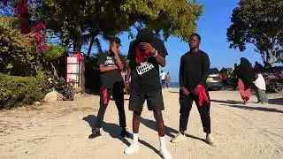 Costa_titch ft Pheelz_ma_gang-_-Goat(official dance video)#dance #goat #blisstitanium