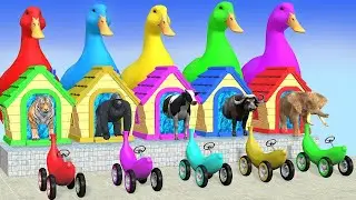 5 Giant Duck Cartoon,Cow,Elephant,Tiger,Lion,Dinosaur,Paint Wild Animals Crossing Fountain Animation